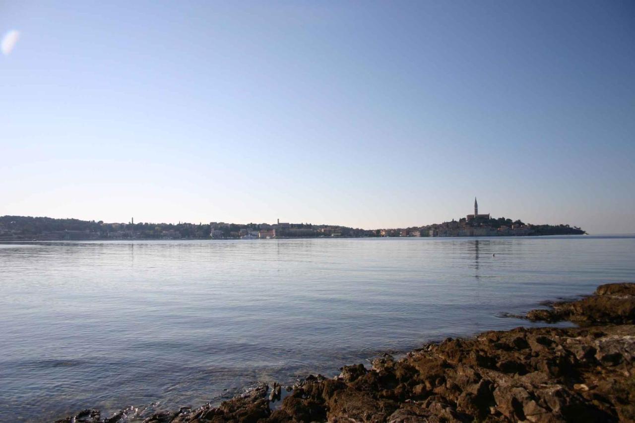 Apartment In Rovinj/Istrien 11533 Экстерьер фото